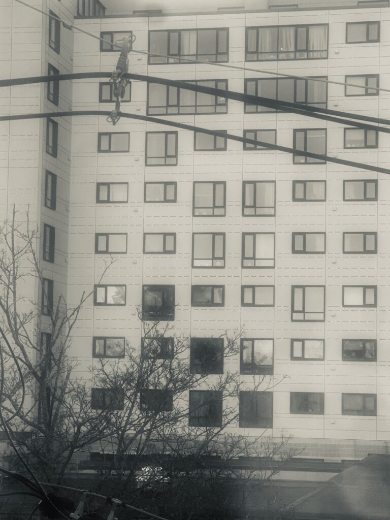 Home Sweet Home? 7 Our New View