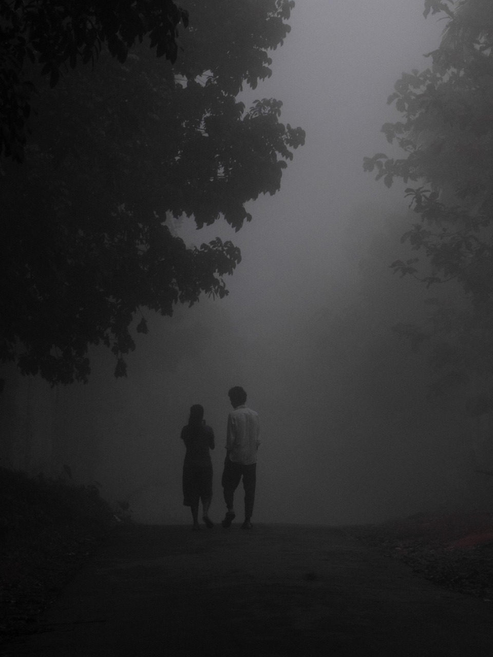 Fog 6351536 1280